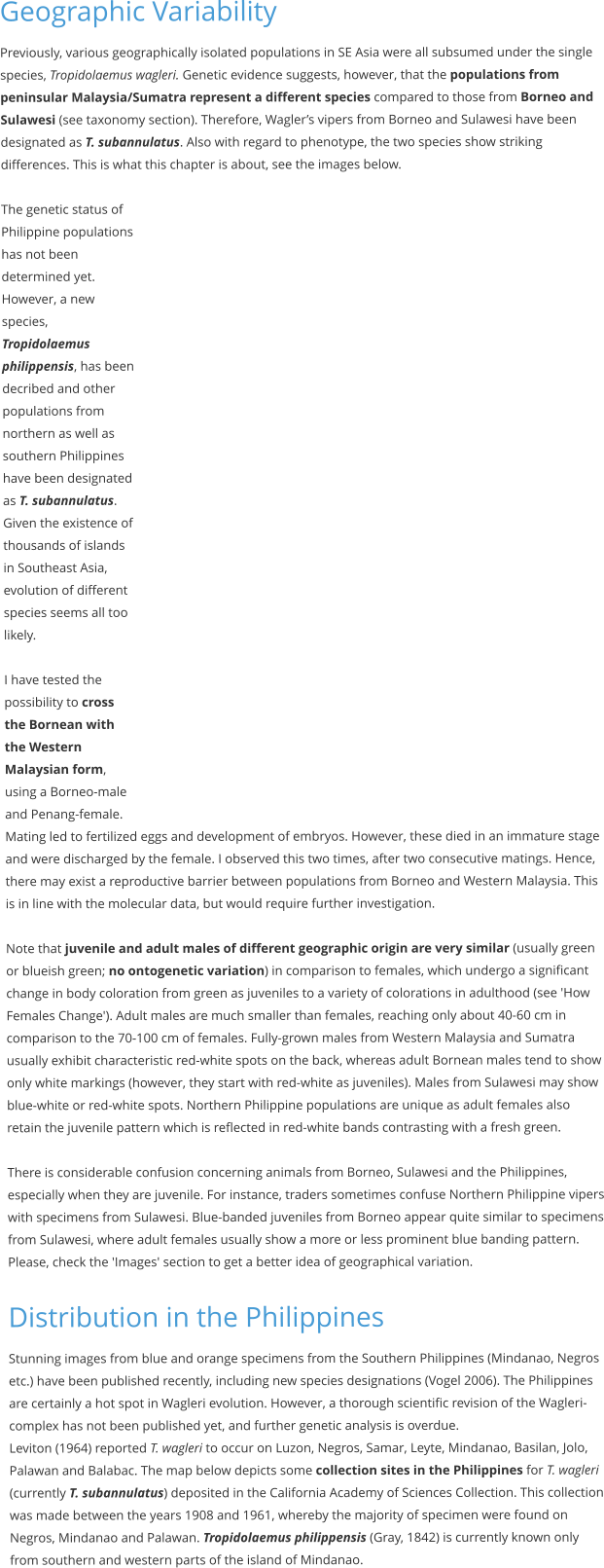 Geographic Variability Previously, various geographically isolated populations in SE Asia were all subsumed under the single species, Tropidolaemus wagleri. Genetic evidence suggests, however, that the populations from peninsular Malaysia/Sumatra represent a different species compared to those from Borneo and Sulawesi (see taxonomy section). Therefore, Wagler’s vipers from Borneo and Sulawesi have been designated as T. subannulatus. Also with regard to phenotype, the two species show striking differences. This is what this chapter is about, see the images below.  The genetic status of Philippine populations has not been determined yet. However, a new species, Tropidolaemus philippensis, has been decribed and other populations from northern as well as southern Philippines have been designated as T. subannulatus. Given the existence of thousands of islands in Southeast Asia, evolution of different species seems all too likely.  I have tested the possibility to cross the Bornean with the Western Malaysian form, using a Borneo-male and Penang-female. Mating led to fertilized eggs and development of embryos. However, these died in an immature stage and were discharged by the female. I observed this two times, after two consecutive matings. Hence, there may exist a reproductive barrier between populations from Borneo and Western Malaysia. This is in line with the molecular data, but would require further investigation.  Note that juvenile and adult males of different geographic origin are very similar (usually green or blueish green; no ontogenetic variation) in comparison to females, which undergo a significant change in body coloration from green as juveniles to a variety of colorations in adulthood (see 'How Females Change'). Adult males are much smaller than females, reaching only about 40-60 cm in comparison to the 70-100 cm of females. Fully-grown males from Western Malaysia and Sumatra usually exhibit characteristic red-white spots on the back, whereas adult Bornean males tend to show only white markings (however, they start with red-white as juveniles). Males from Sulawesi may show blue-white or red-white spots. Northern Philippine populations are unique as adult females also retain the juvenile pattern which is reflected in red-white bands contrasting with a fresh green.  There is considerable confusion concerning animals from Borneo, Sulawesi and the Philippines, especially when they are juvenile. For instance, traders sometimes confuse Northern Philippine vipers with specimens from Sulawesi. Blue-banded juveniles from Borneo appear quite similar to specimens from Sulawesi, where adult females usually show a more or less prominent blue banding pattern. Please, check the 'Images' section to get a better idea of geographical variation.  Distribution in the Philippines Stunning images from blue and orange specimens from the Southern Philippines (Mindanao, Negros etc.) have been published recently, including new species designations (Vogel 2006). The Philippines are certainly a hot spot in Wagleri evolution. However, a thorough scientific revision of the Wagleri-complex has not been published yet, and further genetic analysis is overdue.  Leviton (1964) reported T. wagleri to occur on Luzon, Negros, Samar, Leyte, Mindanao, Basilan, Jolo, Palawan and Balabac. The map below depicts some collection sites in the Philippines for T. wagleri (currently T. subannulatus) deposited in the California Academy of Sciences Collection. This collection was made between the years 1908 and 1961, whereby the majority of specimen were found on Negros, Mindanao and Palawan. Tropidolaemus philippensis (Gray, 1842) is currently known only from southern and western parts of the island of Mindanao.
