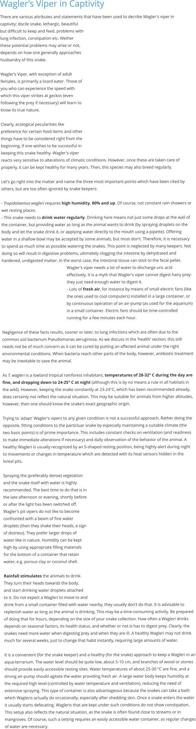 Wagler’s Viper in Captivity There are various attributes and statements that have been used to decribe Wagler's viper in captivity: docile snake, lethargic, beautiful but difficult to keep and feed, problems with lung infection, constipation etc. Wether these potential problems may arise or not, depends on how one generally approaches husbandry of this snake.  Wagler’s Viper, with exception of adult females, is primarily a lizard eater. Those of you who can experience the speed with which this viper strikes at geckos (even following the prey if necessary) will learn to know its true nature.   Clearly, ecological pecularities like preference for certain food items and other things have to be considered right from the beginning, if one wishes to be successful in keeping this snake healthy. Wagler's viper reacts very sensitive to alterations of climatic conditions. However, once these are taken care of properly, it can be kept healthy for many years. Then, this species may also breed regularly.  Let's go right into the matter and name the three most important points which have been cited by others, but are too often ignored by snake keepers:   - Tropidolaemus wagleri requires high humidity, 80% and up. Of course, not constant rain showers or wet resting places. - This snake needs to drink water regularly. Drinking here means not just some drops at the wall of the container, but providing water as long as the animal wants to drink (by spraying droplets on the body and let the snake drink it, or applying water directly to the mouth using a pipette). Offering water in a shallow bowl may be accepted by some animals, but most don't. Therefore, it is necessary to spend as much time as possible watering the snakes. This point is neglected by many keepers. Not doing so will result in digestive problems, ultimately clogging the intestine by dehydrated and hardened, undigested matter. In the worst case, the intestinal tissue can stick to the fecal pellet. Wagler's viper needs a lot of water to discharge uric acid effectively. It is a myth that Wagler's viper cannot digest hairy prey: they just need enough water to digest it. - Lots of fresh air, for instance by means of small electric fans (like the ones used to cool computers) installed in a large container, or by continuous operation of an air-pump (as used for the aquarium) in a small container. Electric fans should be time-controlled running for a few minutes each hour.   Negligence of these facts results, sooner or later, to lung infections which are often due to the common soil bacterium Pseudomonas aeruginosa. As we discuss in the 'health' section, this still needs not be of much concern as it can be cured by putting an affected animal under the right environmental conditions. When bacteria reach other parts of the body, however, antibiotic treatment may be inevitable to save the animal.   As T. wagleri is a lowland tropical rainforest inhabitant, temperatures of 28-32° C during the day are fine, and dropping down to 24-25° C at night (although this is by no means a rule in all habitats in the wild). However, keeping the snake constantly at 23-24°C, which has been recommended already, does certainly not reflect the natural situation. This may be suitable for animals from higher altitudes, however, then one should know the snake's exact geographic origin.  Trying to 'adapt' Wagler's vipers to any given condition is not a successful approach. Rather doing the opposite, fitting conditions to the particluar snake by especially maintaining a suitable climate (the two basic points) is of prime importance. This includes constant checks on ventilation (and readiness to make immediate alterations if necessary) and daily observation of the behavior of the animal. A healthy Wagleri is usually recognized by an S-shaped resting position, being highly alert during night to movements or changes in temperature which are detected with its heat sensors hidden in the loreal pits.  Spraying the (preferably dense) vegetation and the snake itself with water is highly recommended. The best time to do that is in the late afternoon or evening, shortly before or after the light has been switched off. Wagler's pit vipers do not like to become confronted with a beam of fine water droplets (then they shake their heads, a sign of distress). They prefer larger drops of water like in nature. Humidity can be kept high by using appropriate filling materials for the bottom of a container that retain water; e.g. porous clay or coconut shell.   Rainfall stimulates the animals to drink. They turn their heads towards the body, and start drinking water droplets attached to it. Do not expect a Wagleri to move to and drink from a small container filled with water nearby, they usually don't do that. It is advisable to replenish water as long as the animal is drinking. This may be a time-consuming activity. Be prepared of doing that for hours, depending on the size of your snake collection. How often a Wagleri drinks depends on seasonal factors, its health status, and whether or not is has to digest prey. Clearly, the snakes need more water when digesting prey and when they are ill. A healthy Wagleri may not drink much for several weeks, just to change that habit instantly, requiring large amounts of water.  It is a convenient (for the snake keeper) and a healthy (for the snake) approach to keep a Wagleri in an aqua-terrarium. The water level should be quite low, about 5-10 cm, and branches of wood or stones should provide easily accessible resting sites. Water temperatures of about 25-30 °C are fine, and a strong air-pump should agitate the water providing fresh air. A large water body keeps humidity at the required high level (controlled by water temperature and ventilation), reducing the need of extensive spraying. This type of container is also advantageous because the snakes can take a bath which Wagleris actually do occasionally, especially after shedding skin. Once a snake enters the water it usually starts defecating. Wagleris that are kept under such conditions do not show constipation. This setup also reflects the natural situation, as the snake is often found close to streams or in mangroves. Of course, such a setting requires an easily accessible water container, as regular changes of water are necessary.
